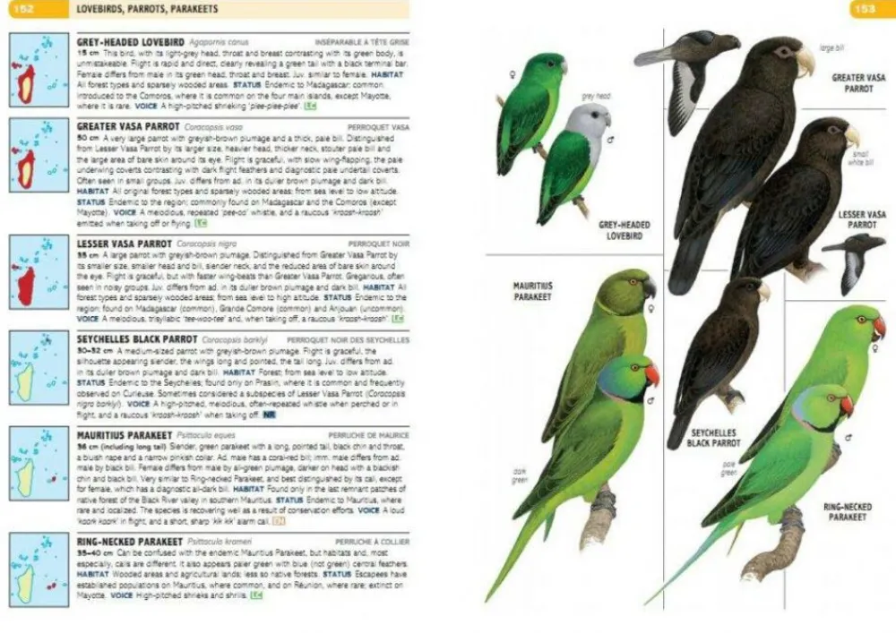 Struik Natuurgidsen|Afrika|Vogelgids Birds of the Indian Ocean