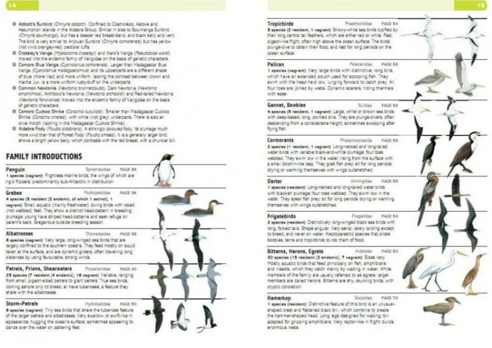 Struik Natuurgidsen|Afrika|Vogelgids Birds of the Indian Ocean