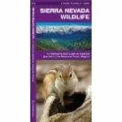 Waterford Verenigde Staten|Sierra Nevada Wildlife