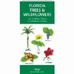 Waterford Natuurgidsen|Verenigde Staten|Yellowstone Trees & Wildflowers