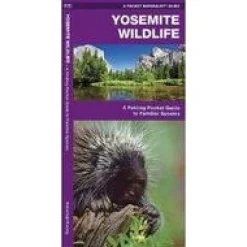 Waterford Natuurgidsen|Verenigde Staten|Yosemite Wildlife